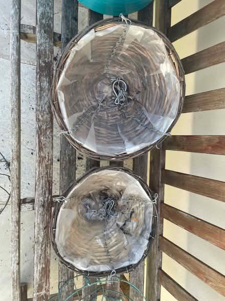 Photo of free Hanging baskets (GL11) #1