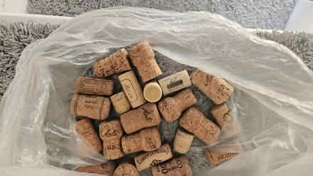 Photo of free Corks (Great Lever Bolton BL3) #2