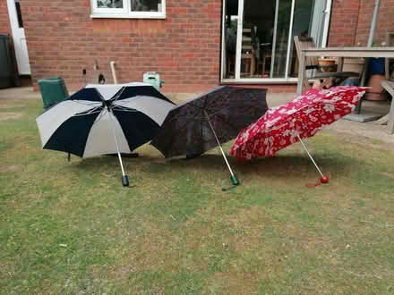 Photo of free Umbrellas (Didcot, Ladygrove, OX11) #3