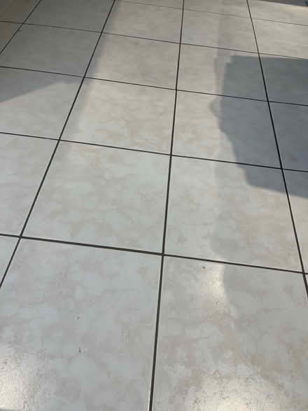 Photo of free Floor tiles (Hamilton) #3