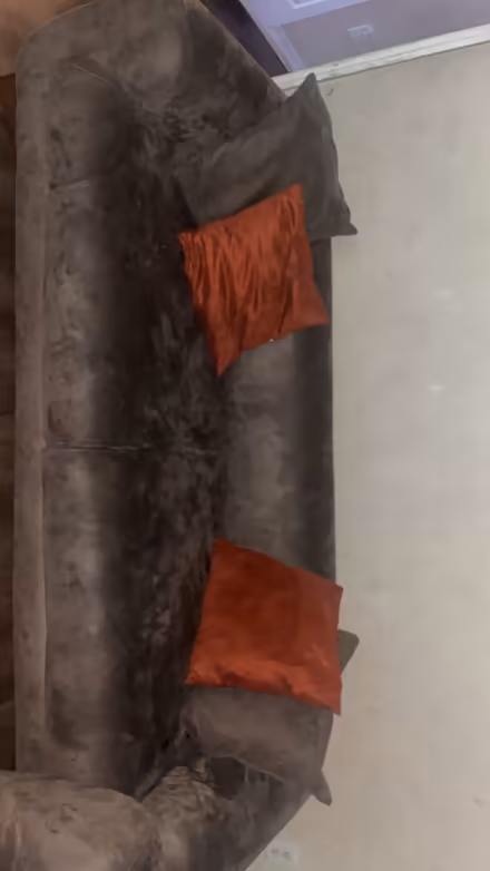 Photo of free Couch with pillow (East Hillsborough) #1