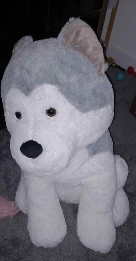 Photo of free Huge dog teddy (HU8 james reckitt) #1
