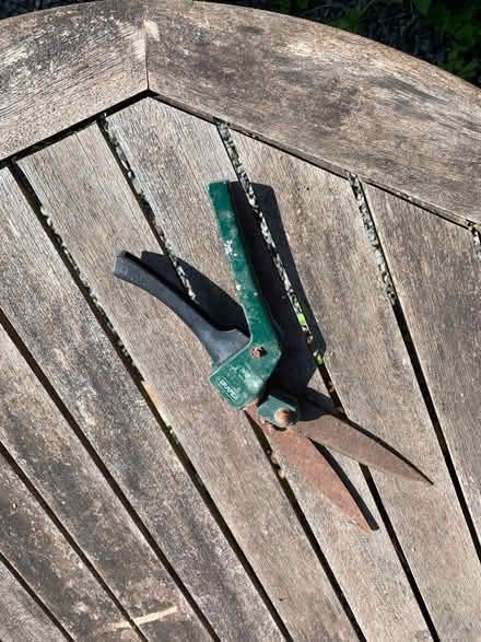 Photo of free Hand Shears (Presteigne LD8) #1