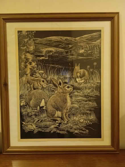 Photo of free rabbit framed print large (The Mound EH2) #1