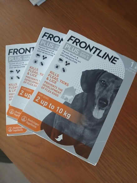 Photo of free Frontline for dogs (Morriston, Swansea) #1