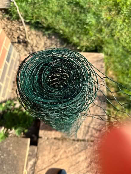 Photo of free Green Wire Netting (Duffield DE56) #2