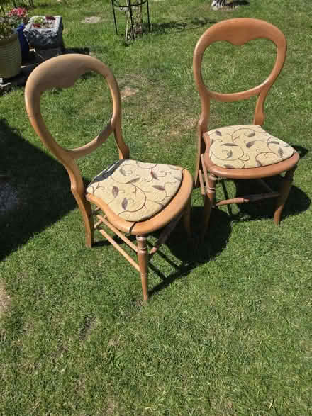 Photo of free Vintage chairs (Melksham SN12) #1