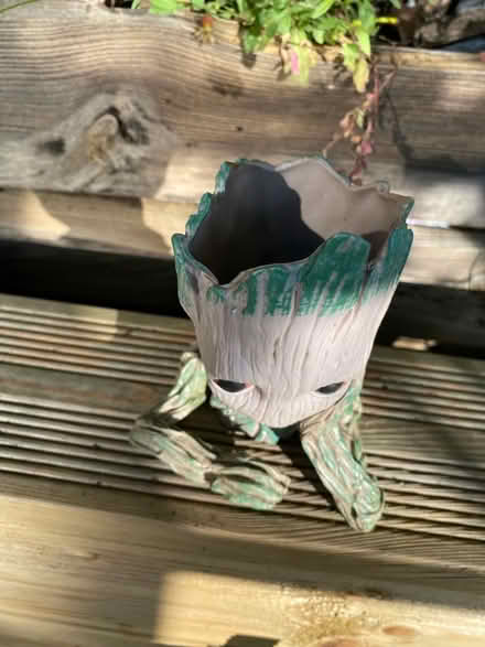 Photo of free Small Groot Plant Pot (Weston) #2
