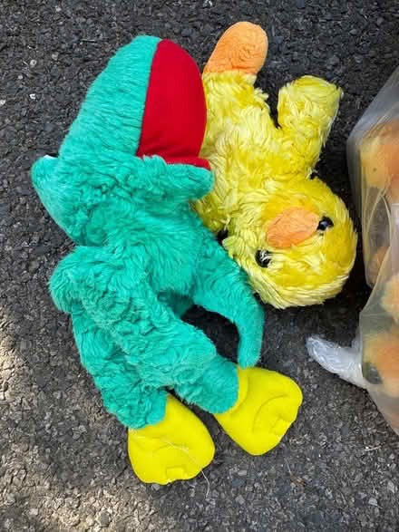 Photo of free Lots of Plushies - Mix - old (Branksome Dorset BH12) #2