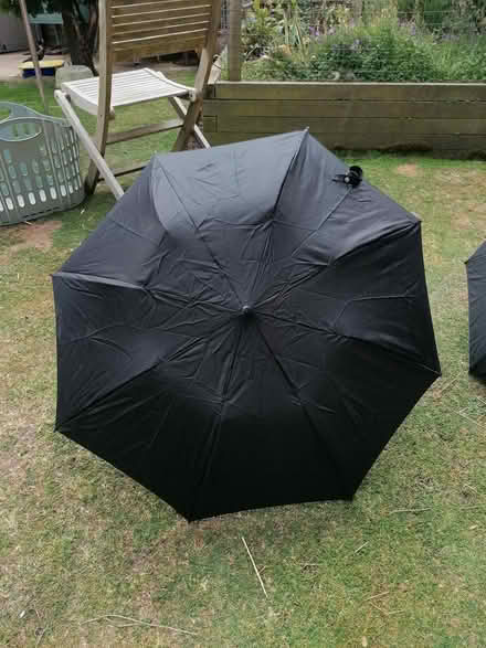 Photo of free Umbrellas (Didcot, Ladygrove, OX11) #4
