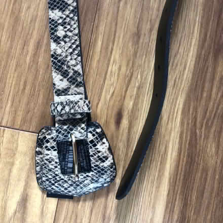Photo of free Animal print belt (Richmond TW1) #1