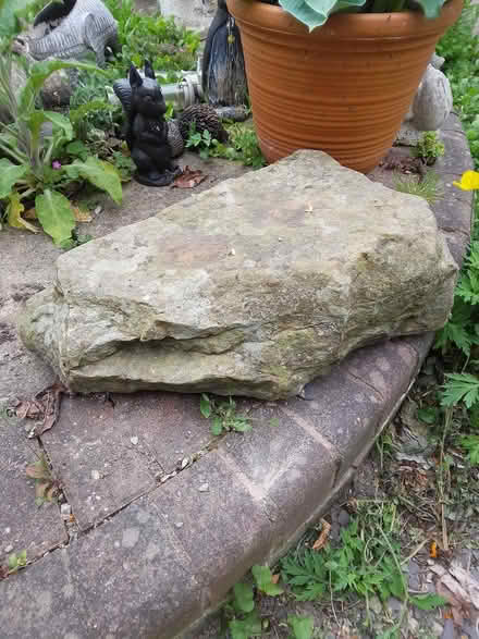 Photo of free 2 Large rockery stones (Killamarsh S21) #2