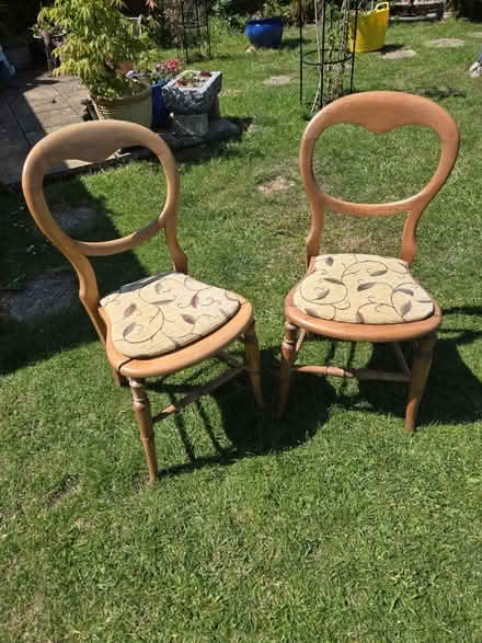 Photo of free Vintage chairs (Melksham SN12) #2