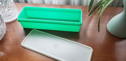 Photo of free Celery container (Kenson Park) #1