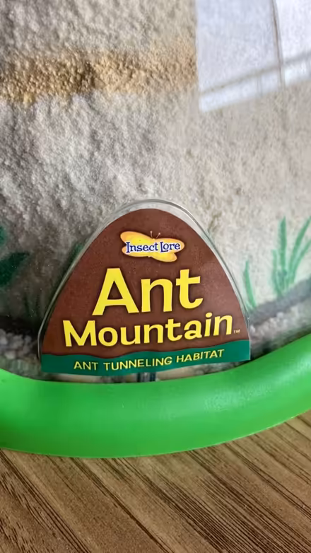 Photo of free Ant Farm (Canyon Country) #2