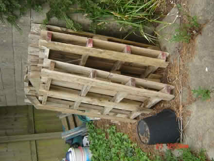 Photo of free Wood (Tunley) #1