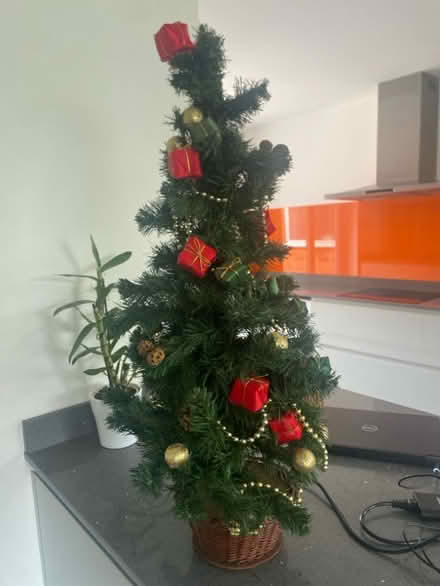 Photo of free Small Christmas tree (Bedford MK41) #1
