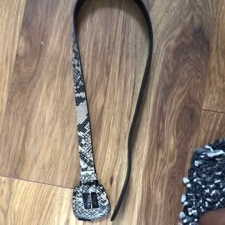 Photo of free Animal print belt (Richmond TW1) #2