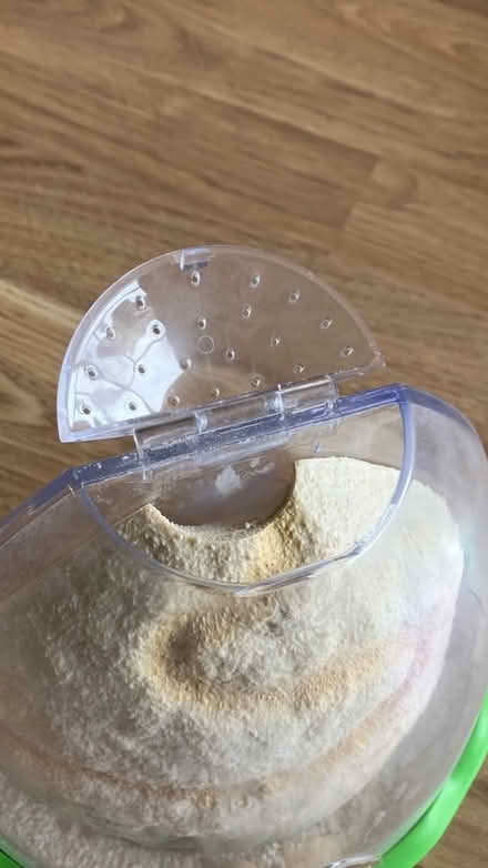 Photo of free Ant Farm (Canyon Country) #4