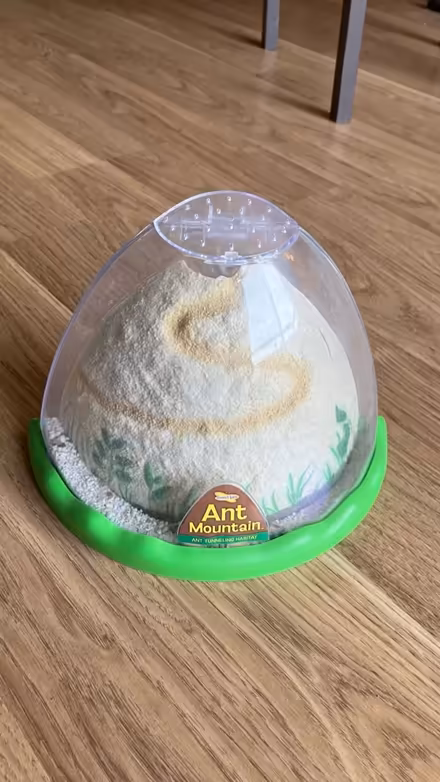 Photo of free Ant Farm (Canyon Country) #1