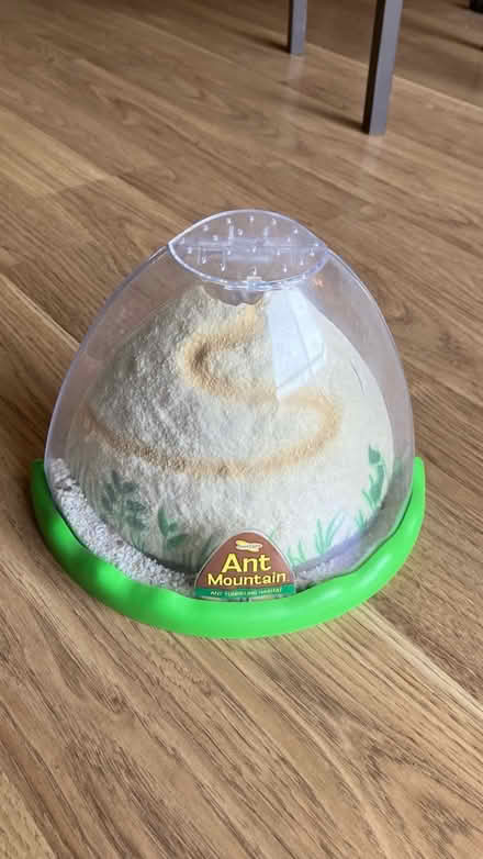 Photo of free Ant Farm (Canyon Country) #1