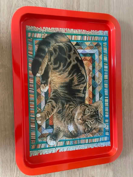 Photo of free Large Tray Cat Design (Kingsway) #1