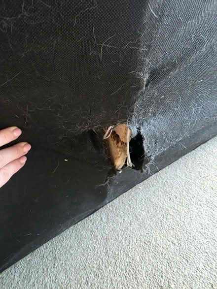 Photo of free Sofa (Milton Keynes MK7) #3