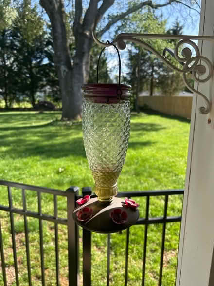 Photo of free Humming Bird Feeder (Pasadena, MD) #1
