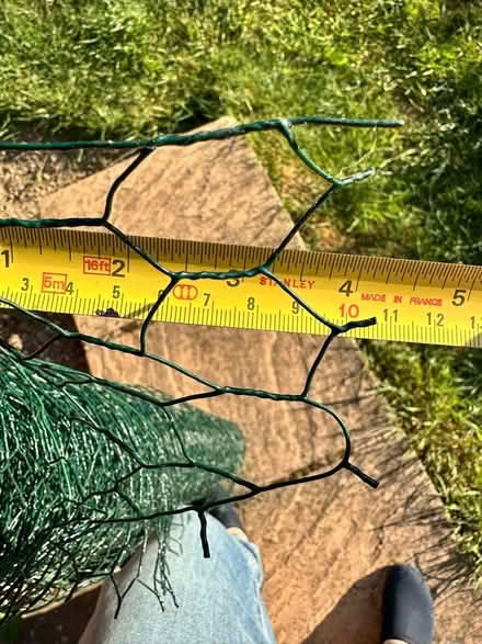 Photo of free Green Wire Netting (Duffield DE56) #3