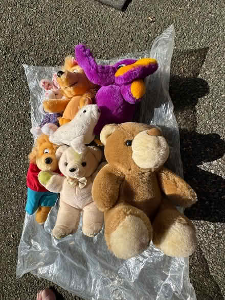 Photo of free Lots of Plushies - Mix - old (Branksome Dorset BH12) #3