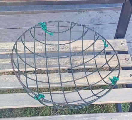 Photo of free hanging basket (Romsey Ward CB1) #2