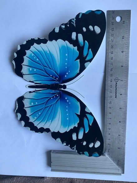 Photo of free Metal Butterfly’s (Easthampstead RG12) #2