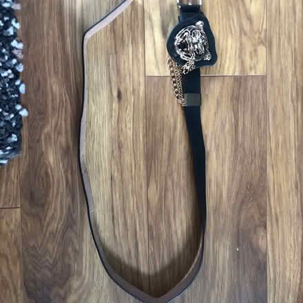 Photo of free Animal buckle belt (Richmond TW1) #2