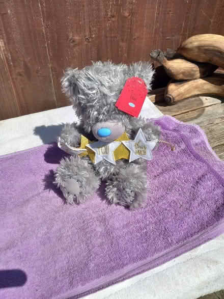 Photo of free Teddy (Collier Row RM5) #2