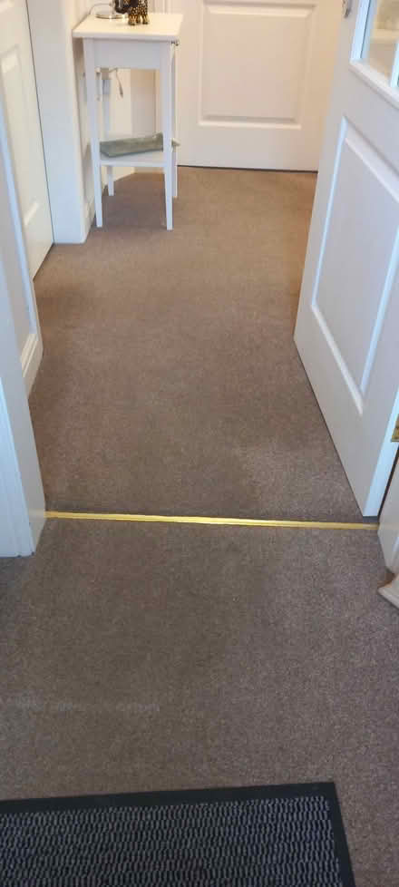 Photo of free Hall carpet (Latchford WA4) #1