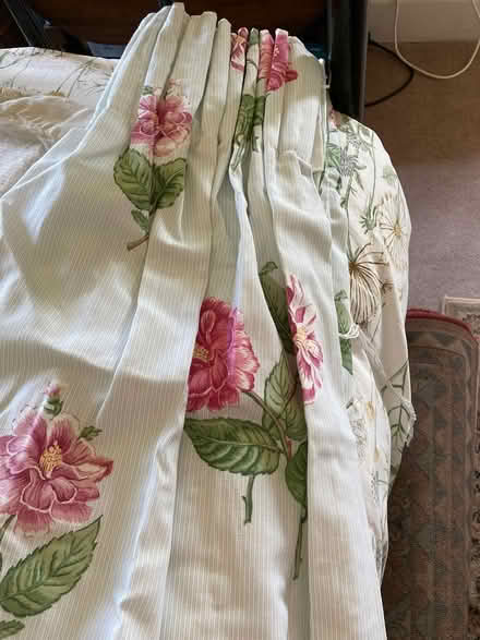 Photo of free Sanderson curtains (Erlestoke Devizes SN10) #1