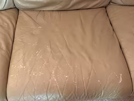 Photo of free Couch / sofa (SW side) #3