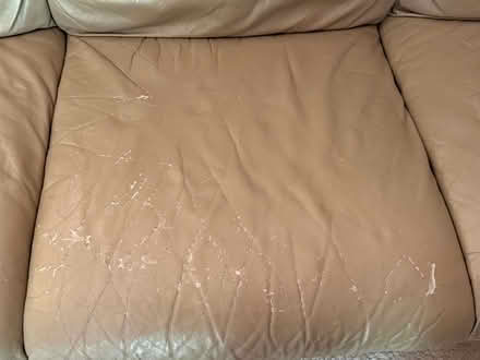 Photo of free Couch / sofa (SW side) #3