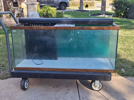 Photo of free 80 gallon aquarium with everything (Denton Texas) #1