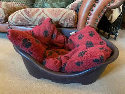 Photo of free Dog Bed (Great Kingshill HP15) #1