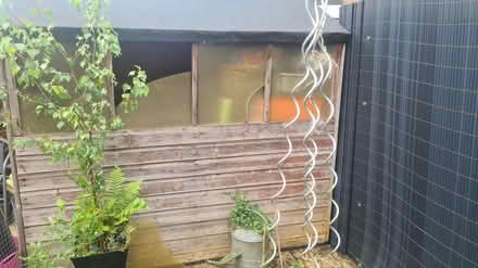 Photo of free Garden Shed 5 x 7ft (Highworth SN6) #3