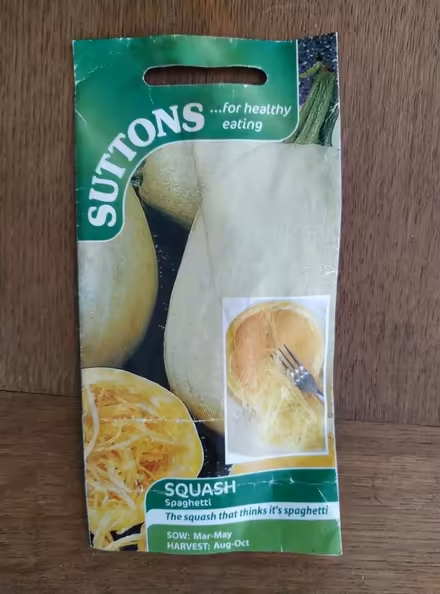 Photo of free Spaghetti squash plants (Kennington OX1) #1