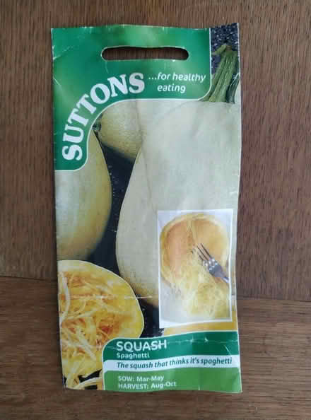Photo of free Spaghetti squash plants (Kennington OX1) #1