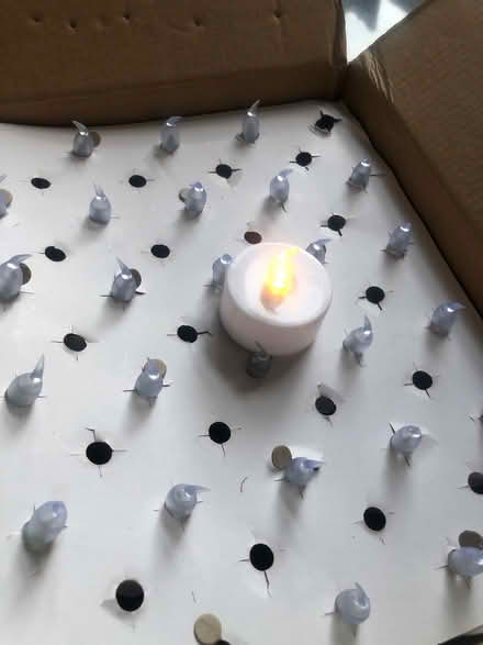 Photo of free Flameless candle lights (Cavendish DE23) #2