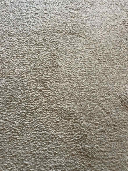 Photo of free Woollen carpet hall runner (OX4 3) #4