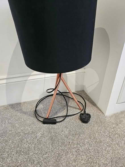 Photo of free Lamp (Greenwich SE10) #1