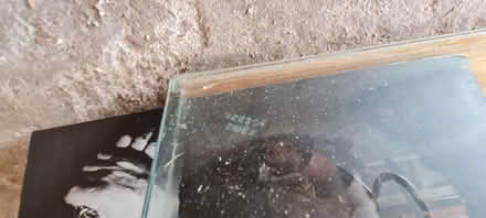 Photo of free Toughened safety glass (Fowlis Wester PH7) #3