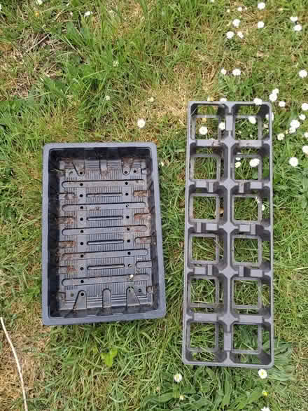 Photo of free Plant trays (Eastbourne) #1