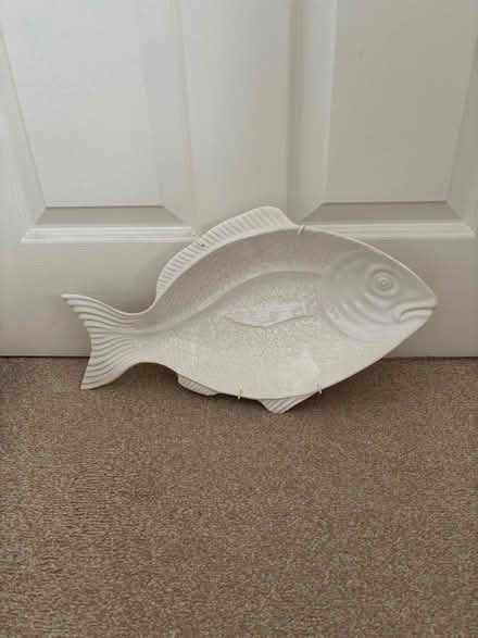 Photo of free Fish Plate (Winwick WA2) #1