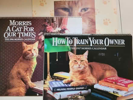 Photo of free 3 Large Morris Cat Calendars (Erin Mills) #1